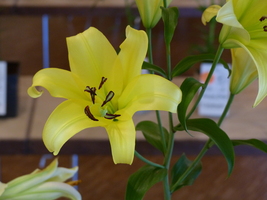 Foto: Dr. Peter Müller